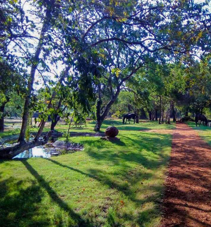 Aswadduma Hotel Dambulla Dış mekan fotoğraf