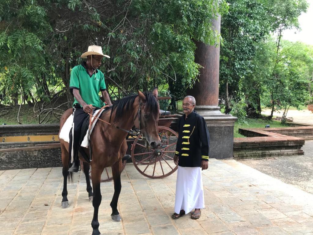 Aswadduma Hotel Dambulla Dış mekan fotoğraf