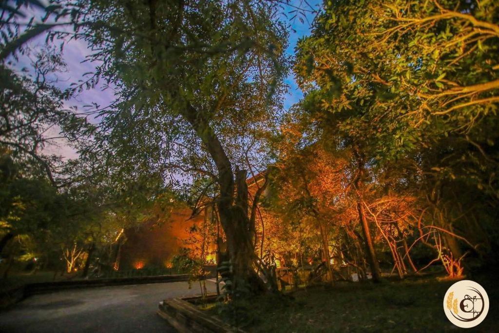 Aswadduma Hotel Dambulla Dış mekan fotoğraf