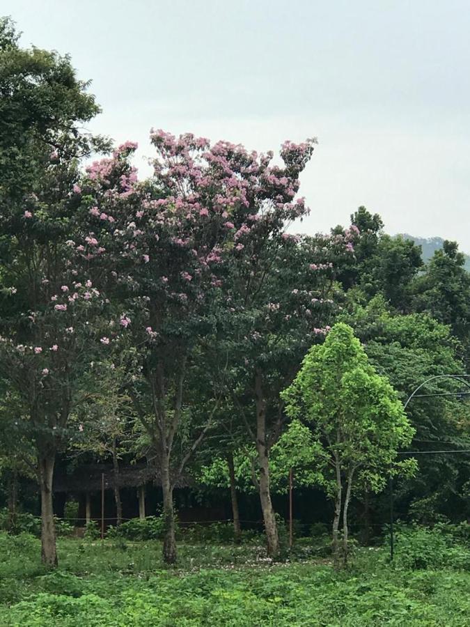 Aswadduma Hotel Dambulla Dış mekan fotoğraf