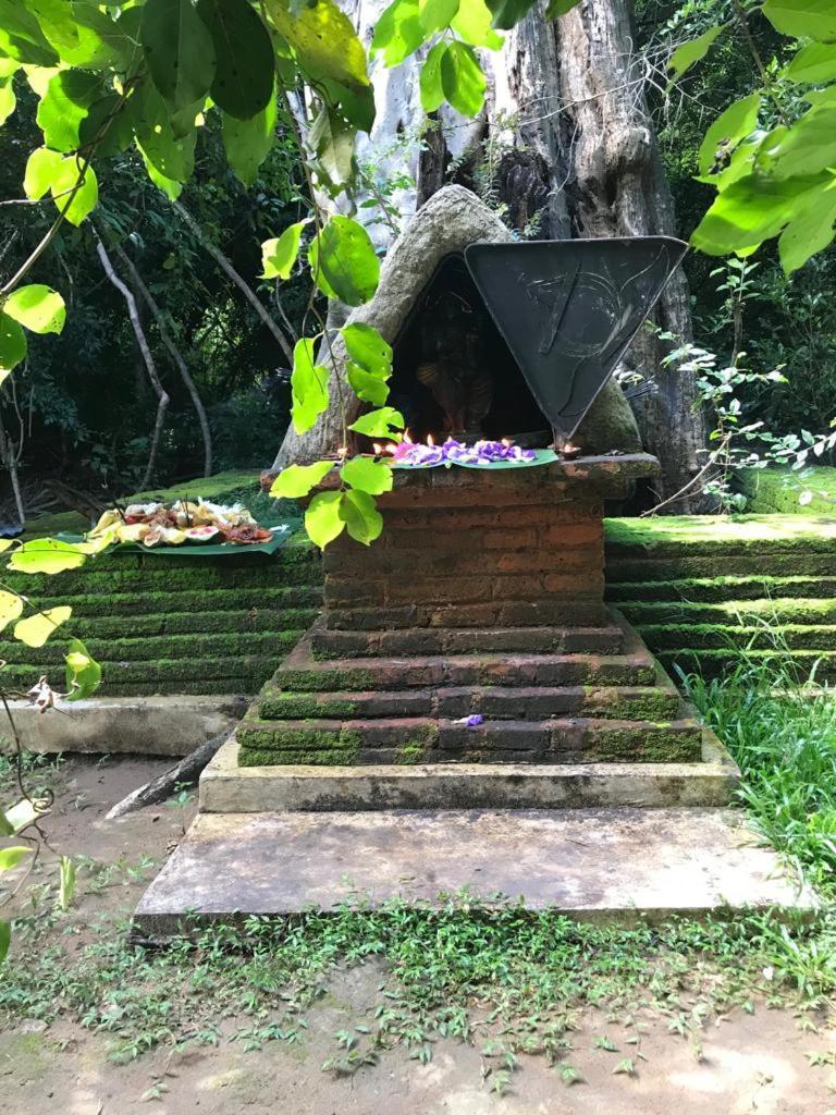 Aswadduma Hotel Dambulla Dış mekan fotoğraf